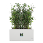 vivo next lang 80cm weiss